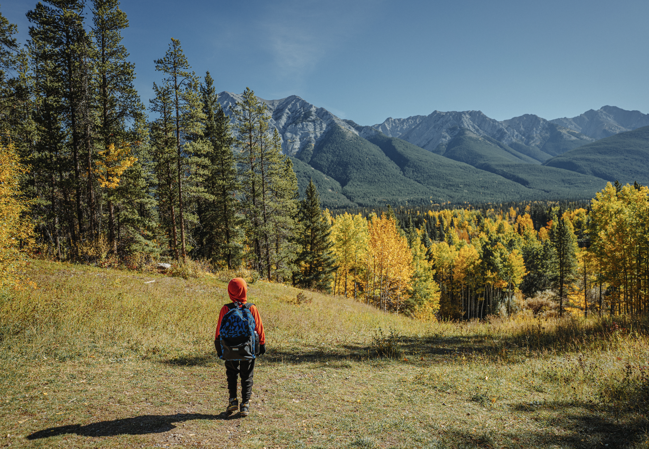 Featured image for “Paving Paradise with All-Season Resorts”